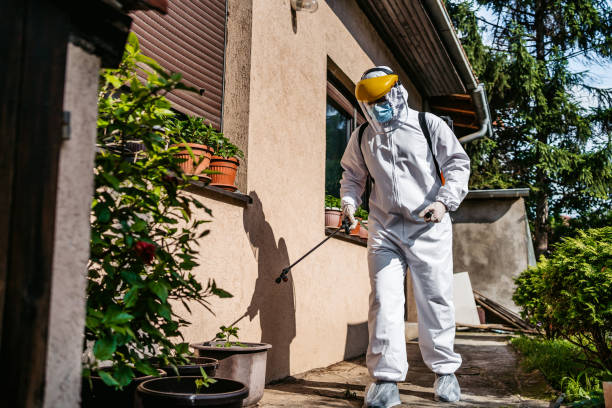 Best Flea Control Services  in Banning, CA