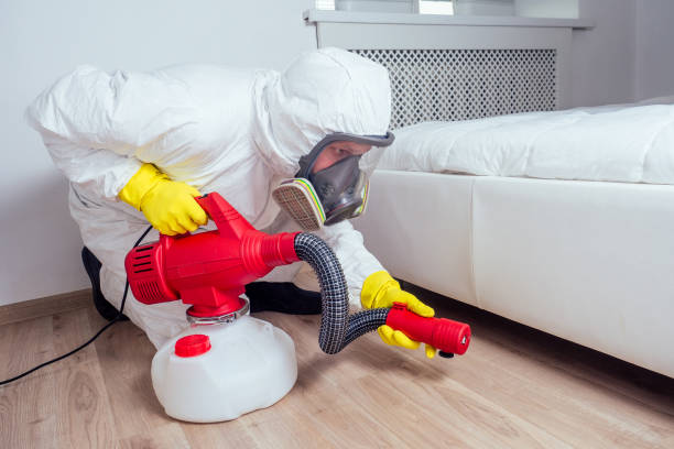 Best Local Pest Control Services  in Banning, CA