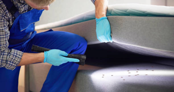 Best Wildlife Control Services  in Banning, CA
